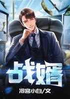 戰(zhàn)婿