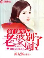 豪門蜜寵：老婆別鬧了