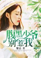 腹黑少爺別惹我