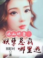 冰山嬌妻:妖孽總裁哪里逃