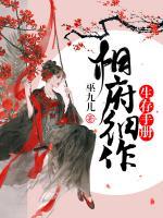 相府細(xì)作生存手冊(cè)
