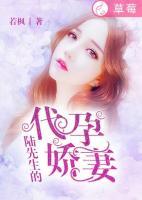 陸先生的代孕嬌妻