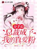 分手后，總裁成了我的真愛(ài)粉