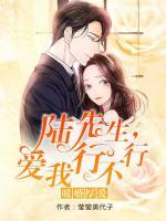 暖婚厚愛：陸先生，愛我行不行