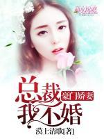 豪門嬌妻：總裁，我不婚