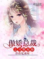 傲嬌總裁之習(xí)慣有你