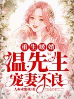 重生暖婚：溫先生，寵妻不良