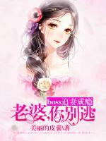 boss追妻成癮：老婆，你別逃