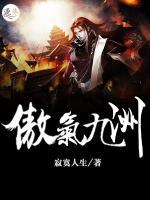 傲氣九洲