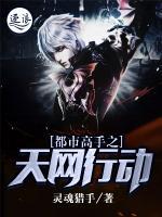 都市高手之天網(wǎng)行動