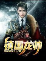 鎮(zhèn)國龍帥