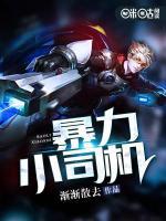 暴力小司機