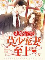 先婚后愛：莫少寵妻至上！