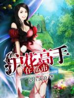 護花高手在都市