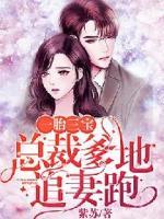 一胎三寶：總裁爹地追妻跑