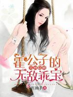 男神隱婚：霍公子的無敵乖寶