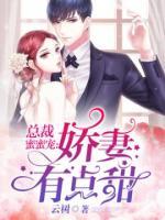 總裁蜜蜜寵：老婆有點甜