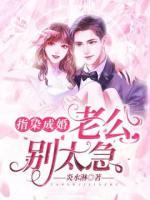指染成婚：老公別太急