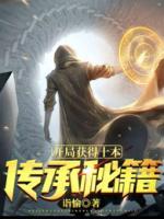 開局獲得十本傳承秘籍