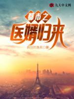 都市之醫(yī)婿歸來