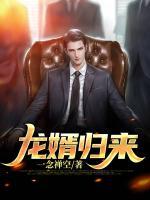 龍婿歸來