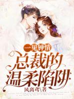 一見鐘情：總裁的溫柔陷阱