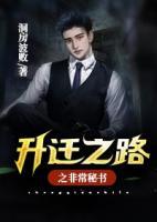 升遷之路之非常秘書