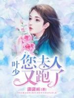 葉少，您夫人又跑了