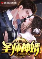圣師神婿