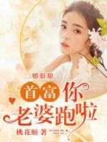二婚很甜：首富，你老婆跑啦！