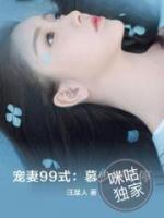 寵妻99式：慕少撩不停