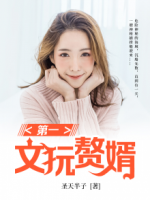 第一文玩贅婿
