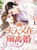 霍少，夫人又在鬧離婚