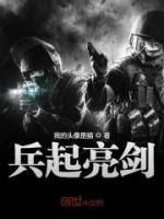 兵起亮劍