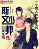 斯文少帥