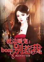 枕邊暖寵：boss別惹我