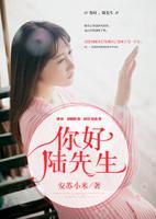 你好，陸先生