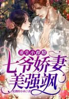 重生小撩精：七爺嬌妻美強颯