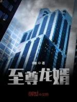 至尊龍婿
