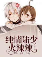 純情陸少火辣辣