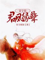寰宇情：君鳳緣孽