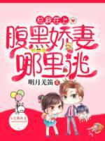 總裁在上：腹黑嬌妻哪里逃
