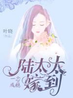 一念成癮，陸太太嫁到
