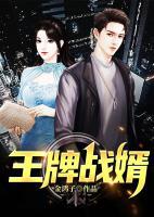 王牌戰(zhàn)婿