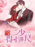 替嫁小妻：二少，得寸進尺