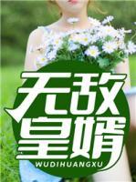 無(wú)敵皇婿