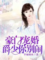 豪門寵婚，爵少你別鬧