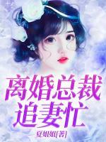 離婚總裁追妻忙