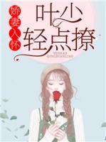 嬌妻入懷:葉少，輕點撩