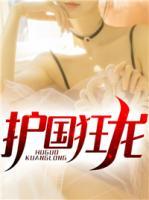護(hù)國狂龍